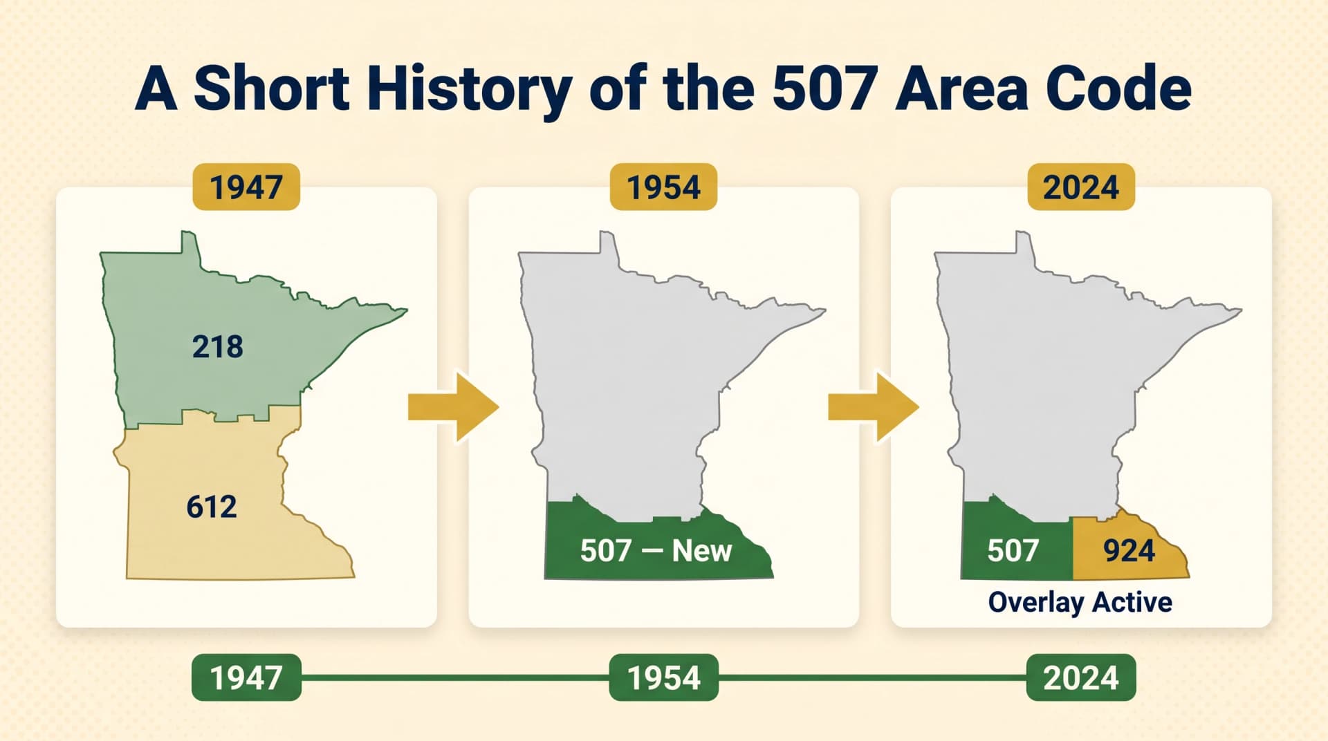 A Short History of the 507 Area Code infographic on a warm cream background showing a three-panel split-state comparison with harvest-gold year chips and arrows - Panel 1 labeled 1947 shows Minnesota divided into forest-green 218 in the north and gold 612 in the south, Panel 2 labeled 1954 shows the southern fifth highlighted in solid forest green labeled 507 New, Panel 3 labeled 2024 shows the southern region split into forest-green 507 and gold 924 labeled Overlay Active, connected by a forest-green timeline bar at the bottom