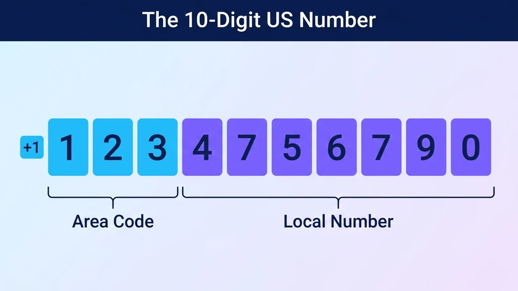 The full 10-digit US number structure: a 3-digit area code followed by a 7-digit local number