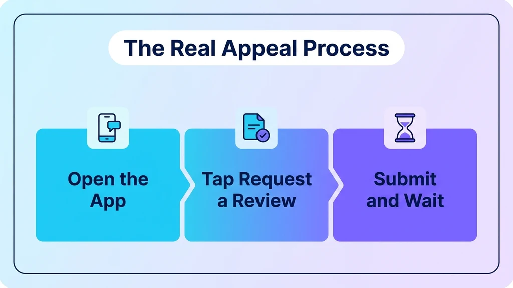 Three connected blocks reading open the app, tap request a review, and submit and wait