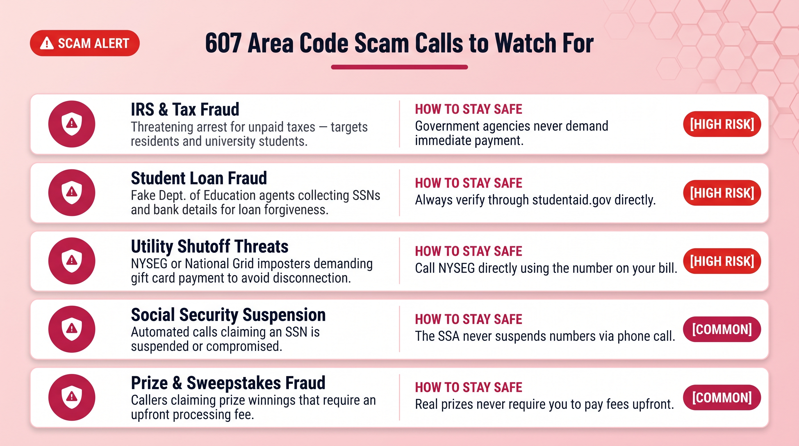 607 area code scam calls to watch for infographic showing IRS fraud, student loan scams, utility shutoff fraud, Social Security fraud, and prize scams on a white background