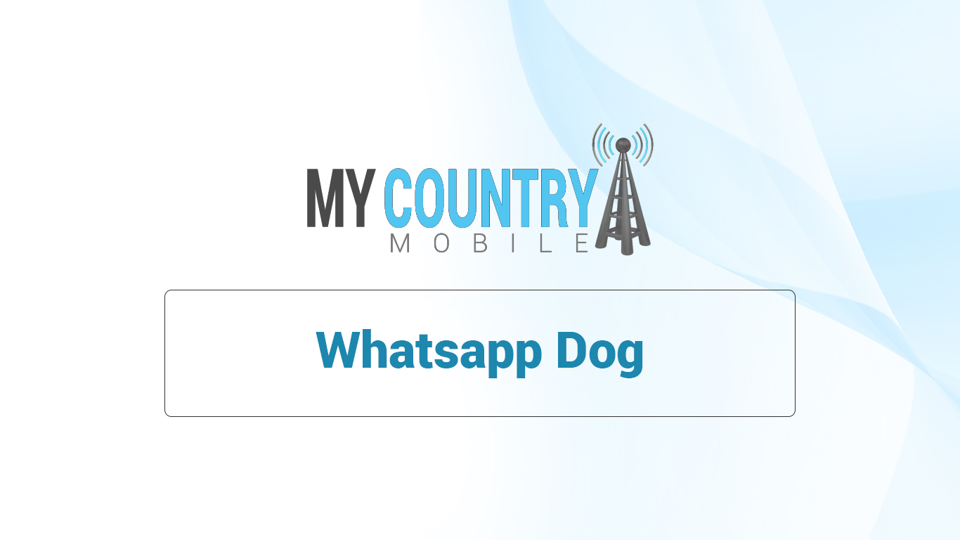You are currently viewing WhatsApp Dog