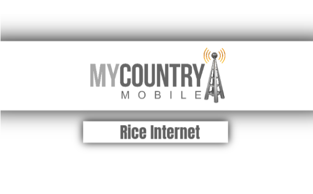 You are currently viewing Rice Internet