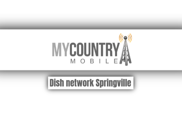You are currently viewing Dish Network Springville