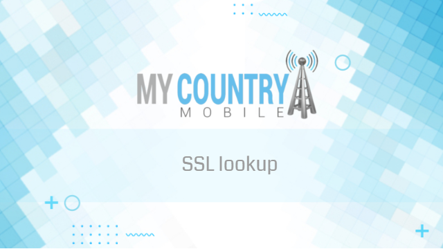 You are currently viewing SSL lookup