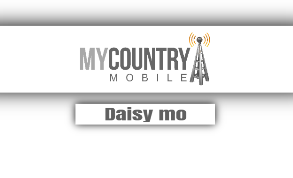 You are currently viewing Daisy Mo