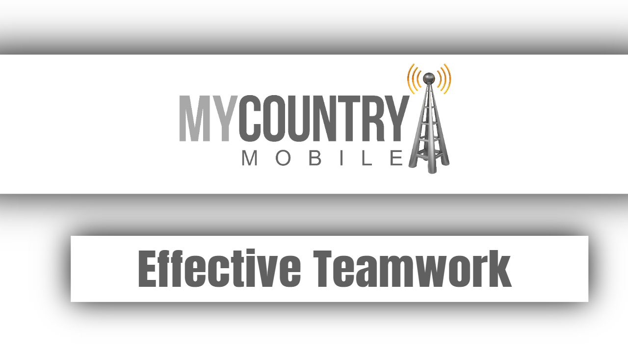 Read more about the article Effective Teamwork