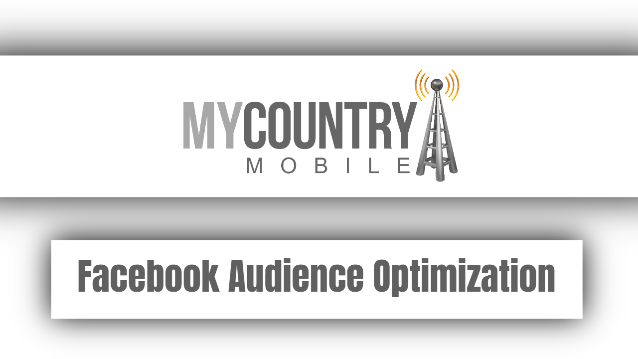 You are currently viewing Facebook Audience Optimization