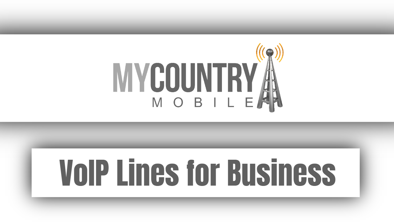 You are currently viewing VoIP Lines for Business