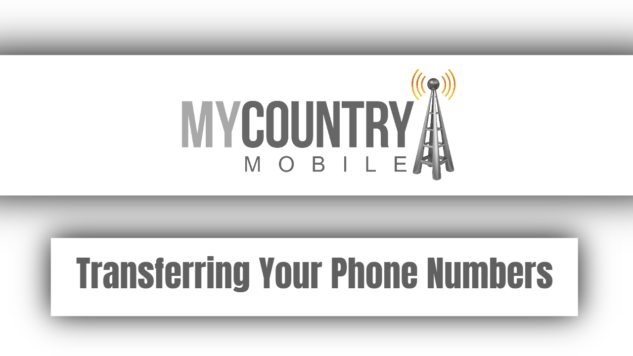 You are currently viewing Transferring Your Phone Numbers