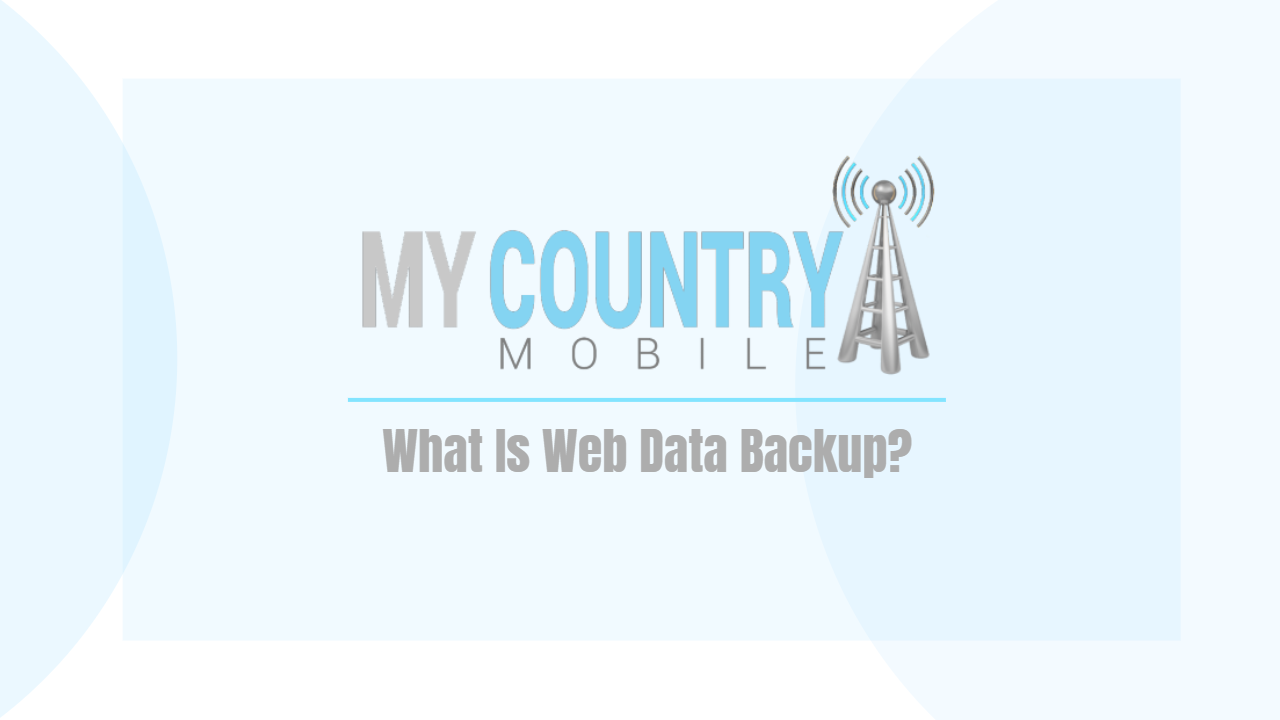 What is Web Data Backup?