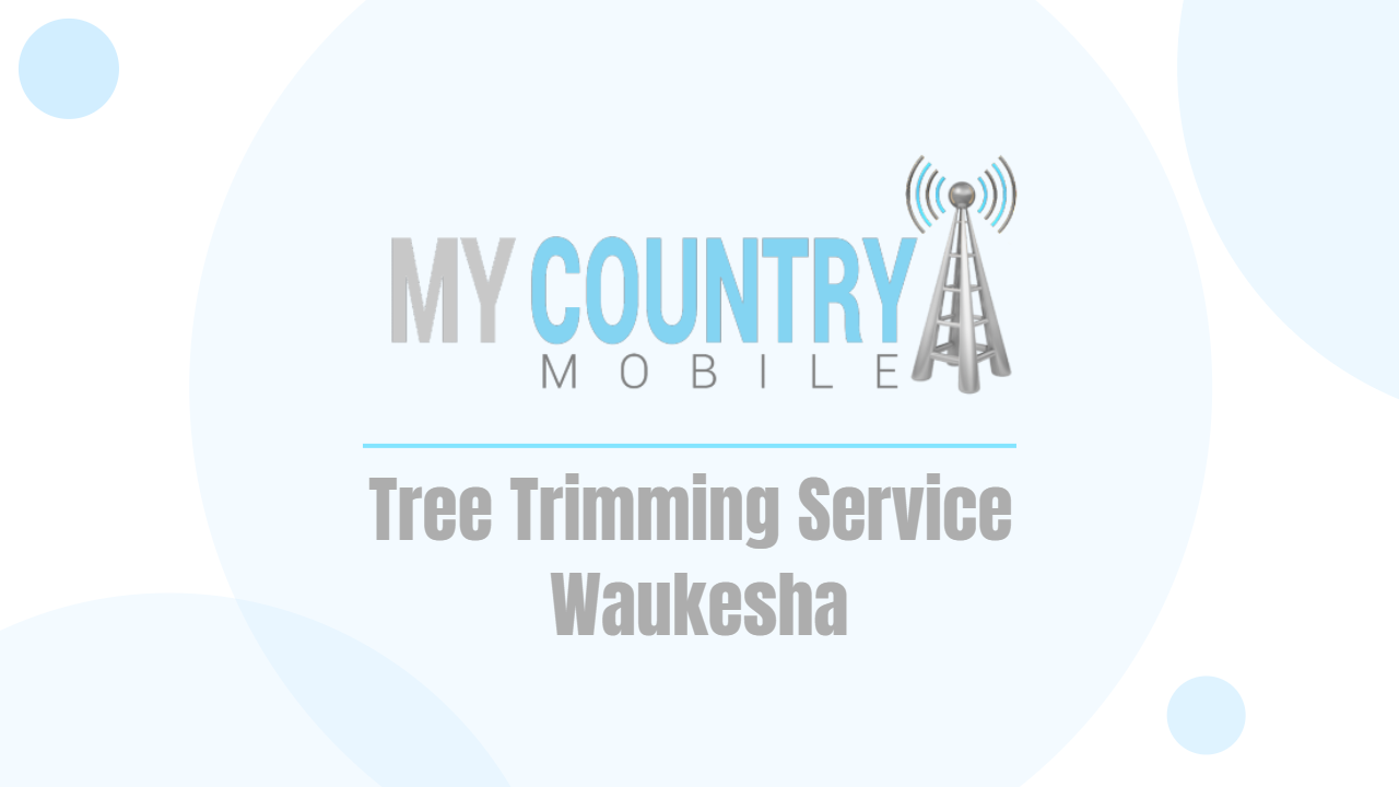 You are currently viewing Tree Trimming Service Waukesha