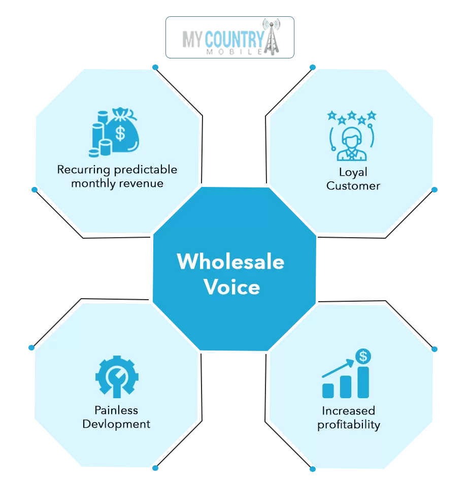 What is wholesale VoIP