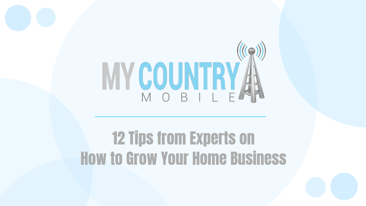 You are currently viewing 12 Tips from Experts on How to Grow Your Home Business