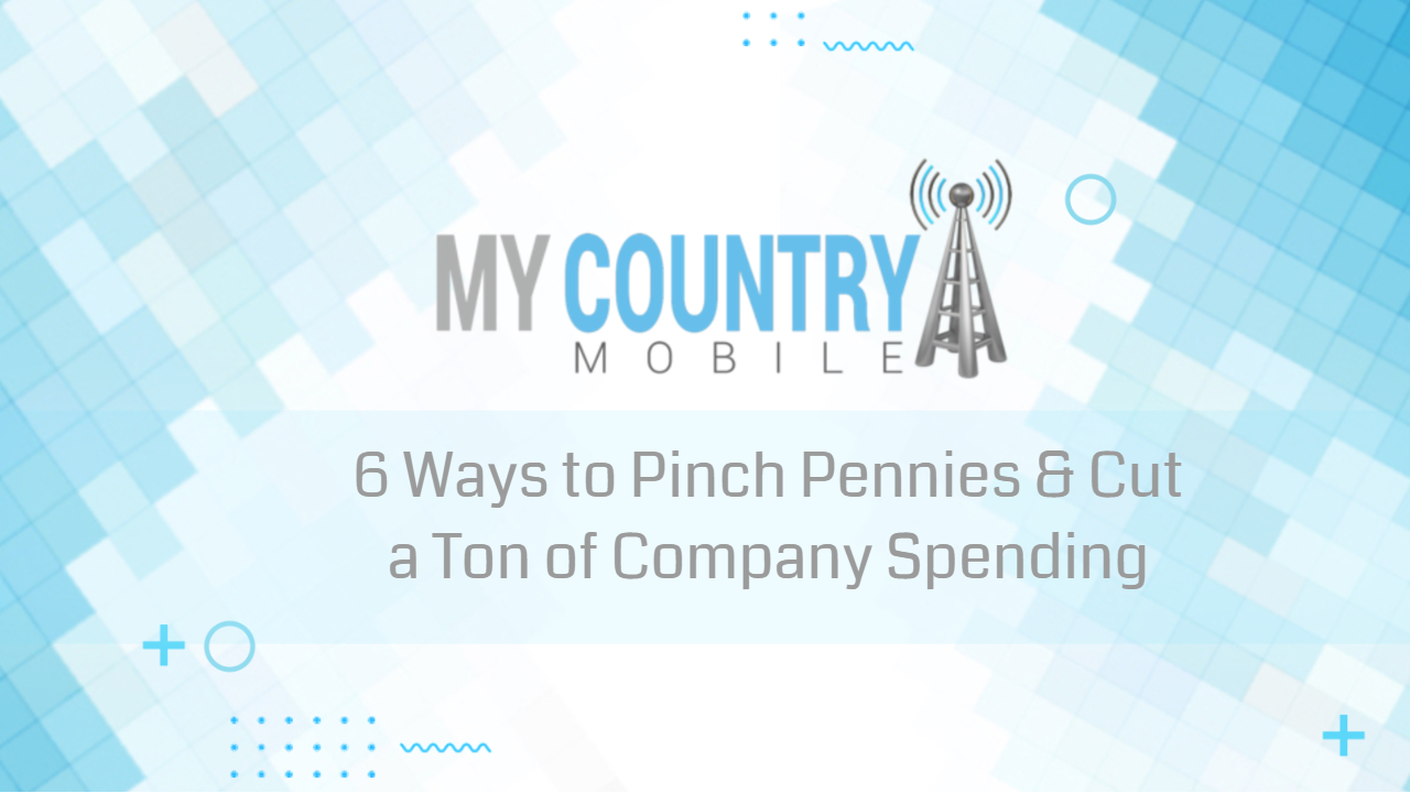 You are currently viewing 6 Ways to Pinch Pennies & Cut a Ton of Company Spending