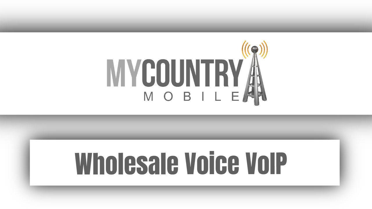 You are currently viewing Wholesale Voice VoIP