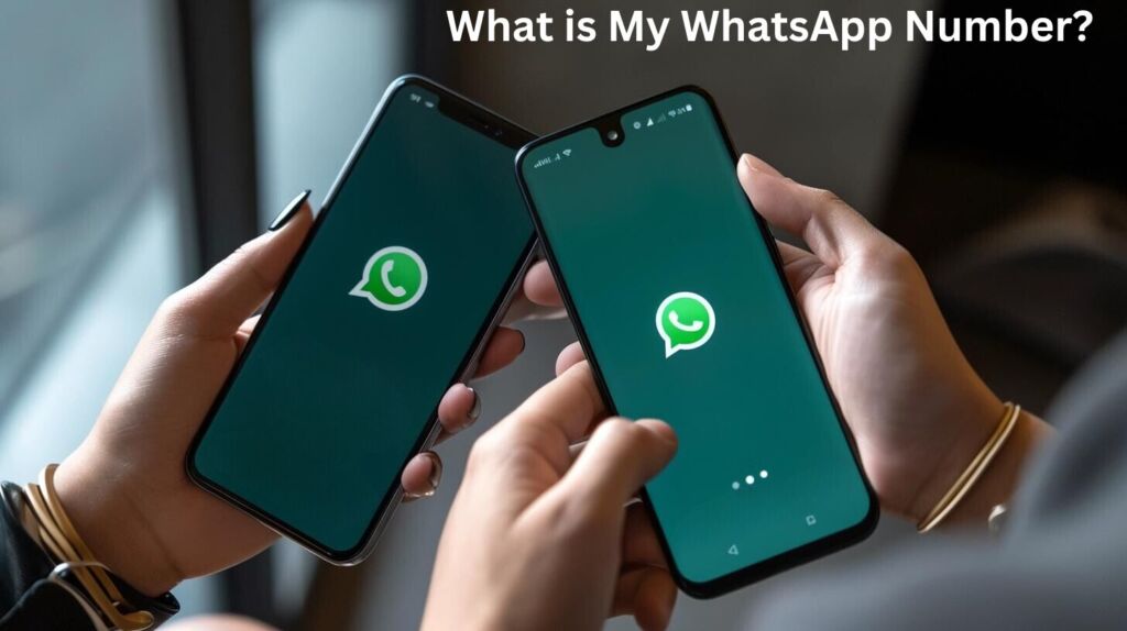 What is My WhatsApp Number?