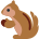 🐿