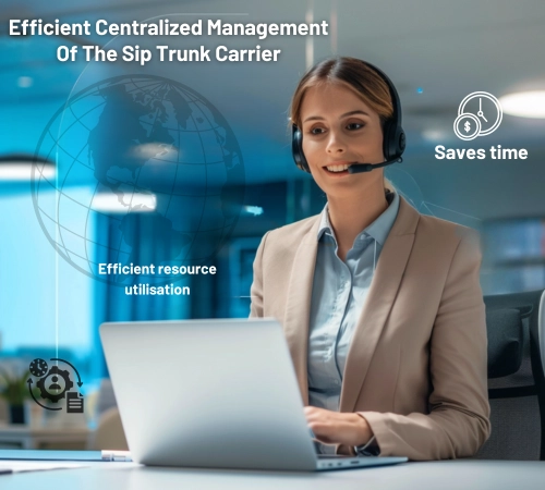Efficient Centralized Management Of The Sip Trunk Carrier