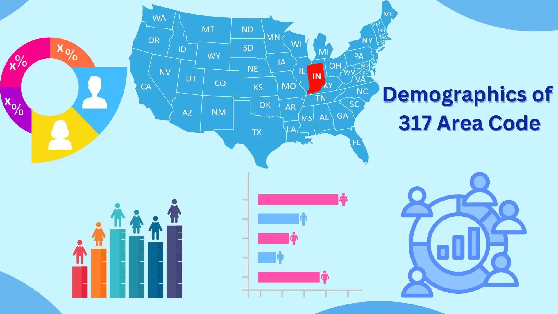What Are the Demographics of the 317 Area Code?