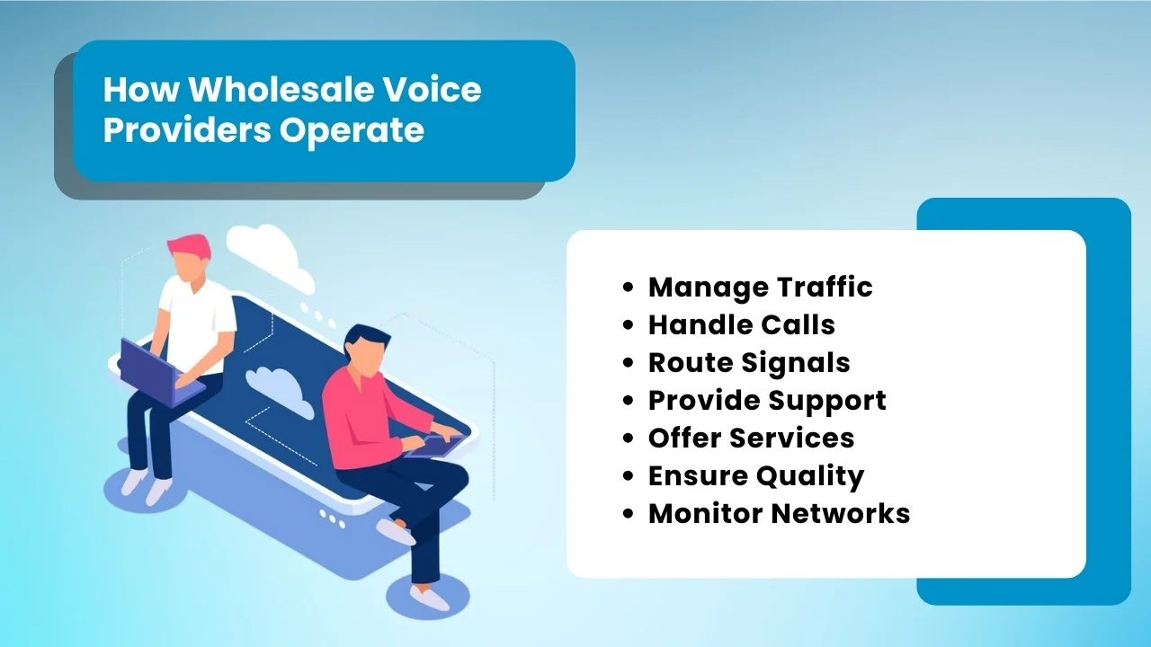 How Wholesale Voice Providers Operate
