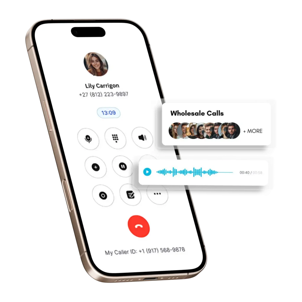 What is Wholesale Voice Termination