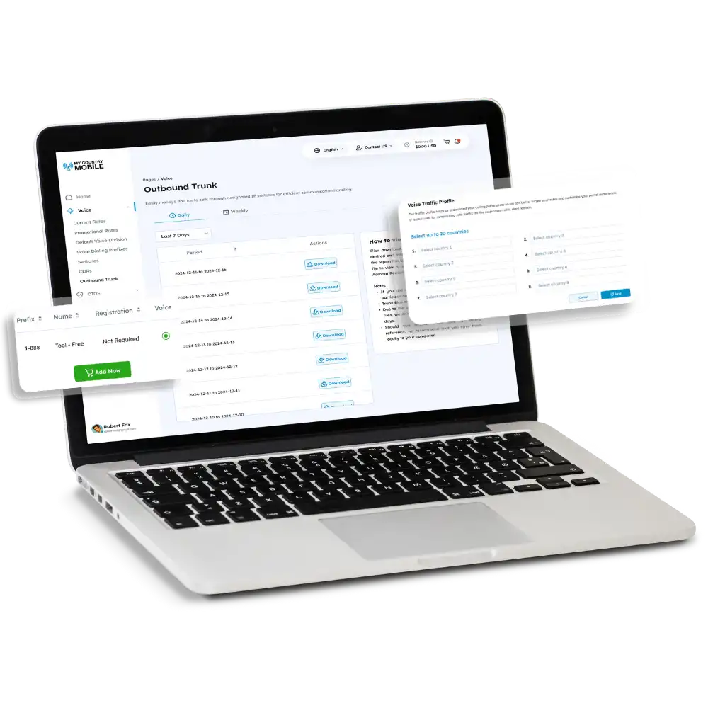 Who Can Benefit from Wholesale Voice Termination