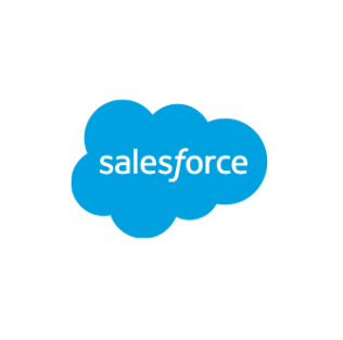 Sales Force icon