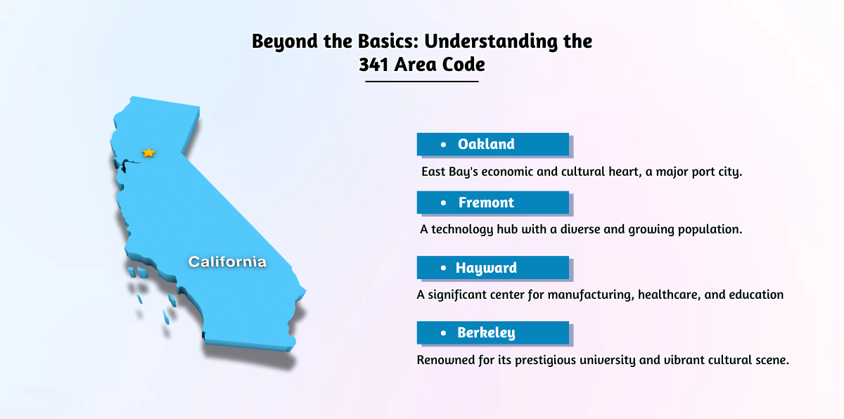 Beyond the Basics_ Understanding the 341 Area Code