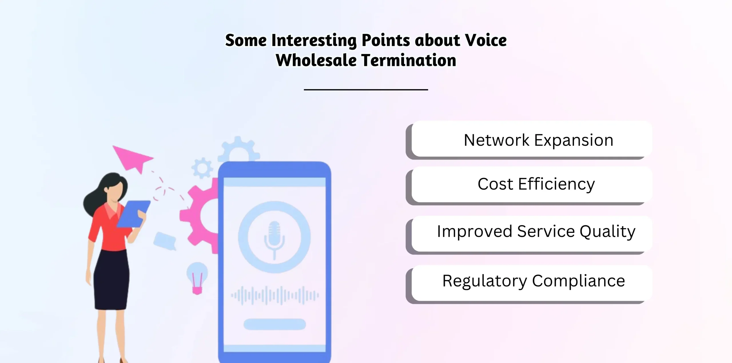 Some Interesting Points about Voice Wholesale Termination