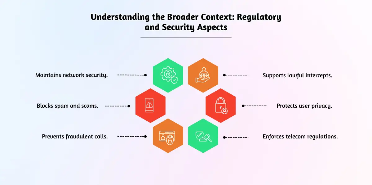 Understanding the Broader Context_ Regulatory and Security Aspects