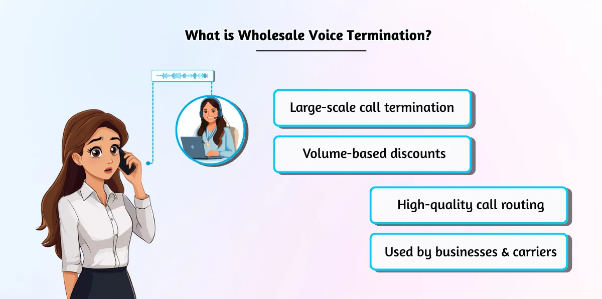 What is Wholesale Voice Termination