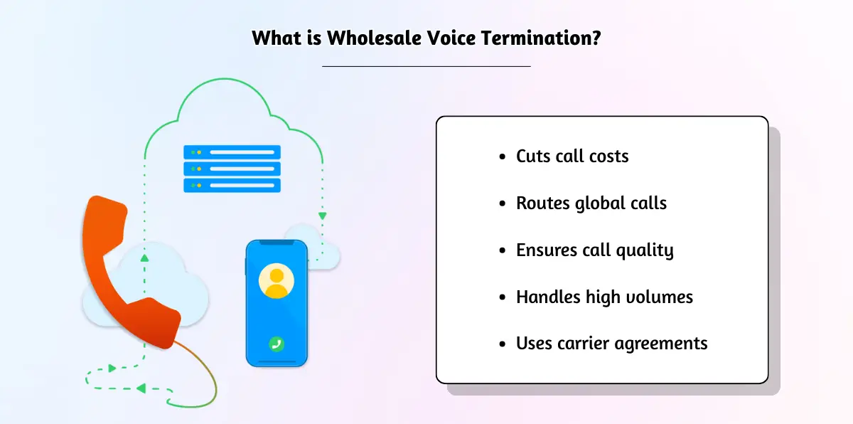 Explaining wholesale voice call routing.
