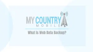 WHAT IS WEB DATA BACKUP
