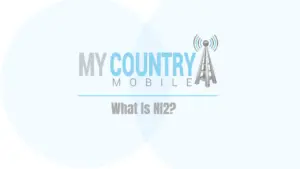 What is NI2?