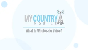 WHAT IS WHOLESALE VOICE