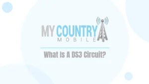 What Is A DS3 Circuit