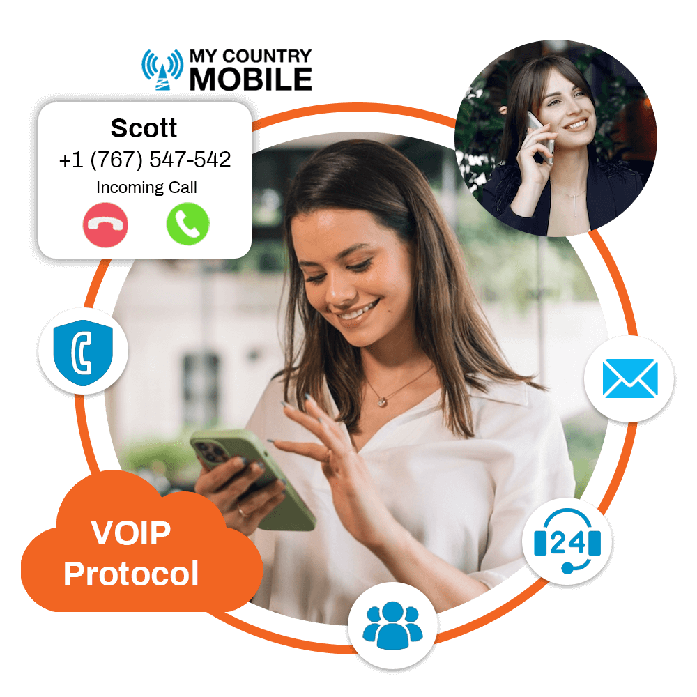 Wholesale VoIP Protocols and Standards
