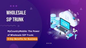 wholesale sip trunking