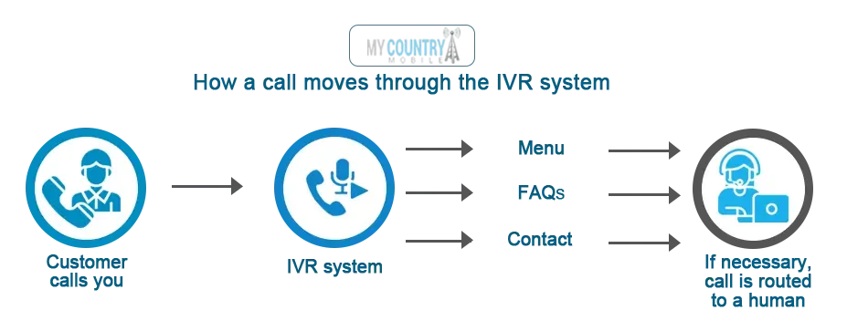 ivr stands for