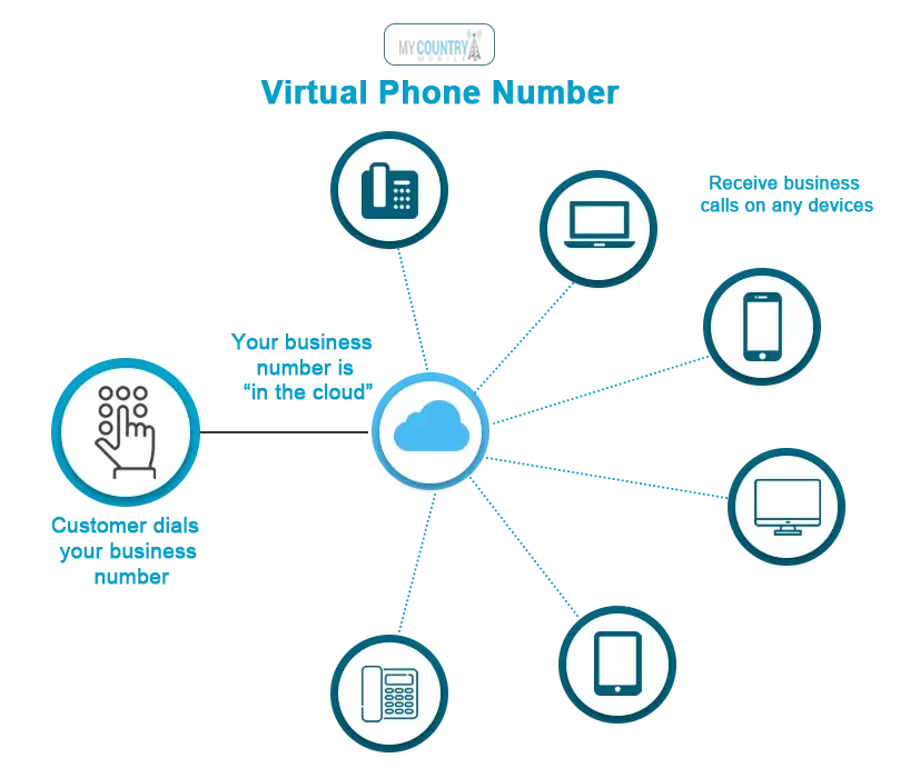 virtual business number (1)